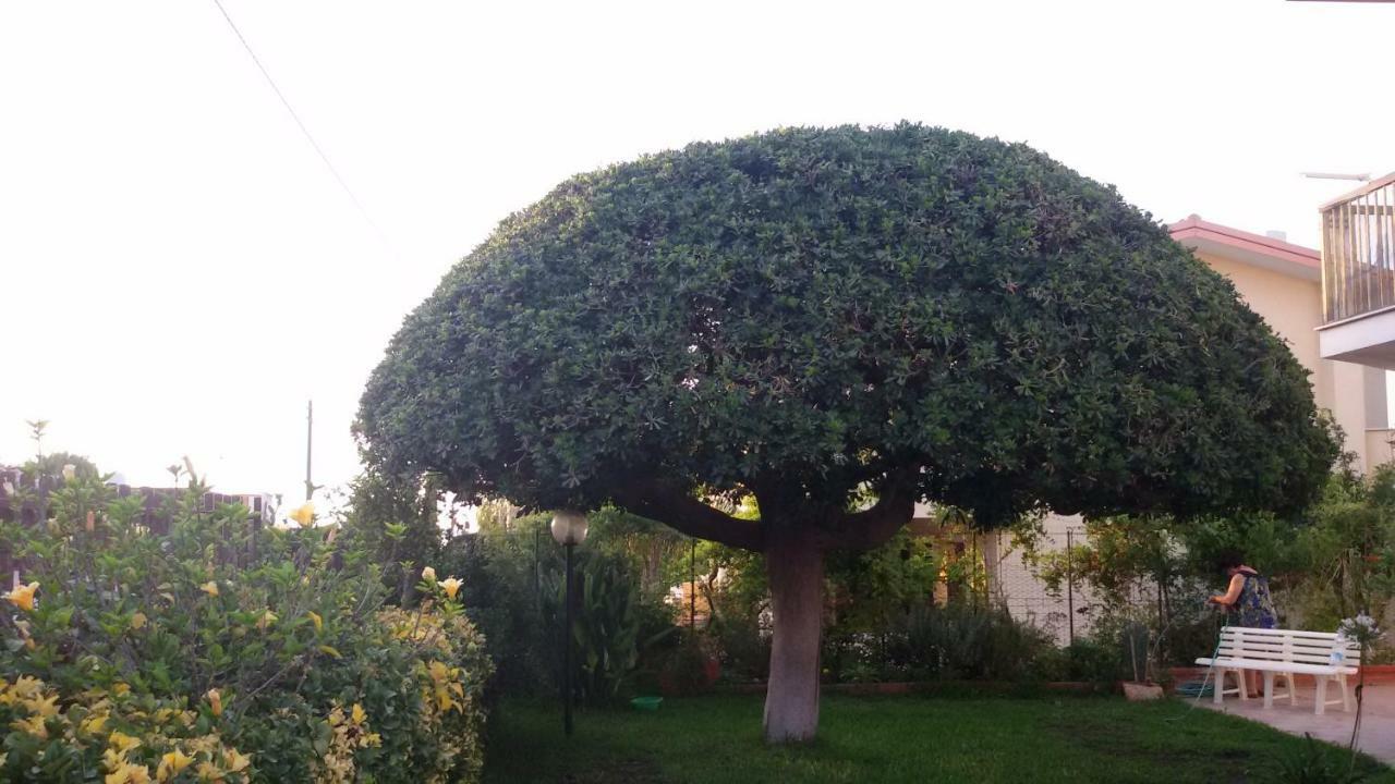 布鲁克里Casa Di Poseidone别墅 外观 照片